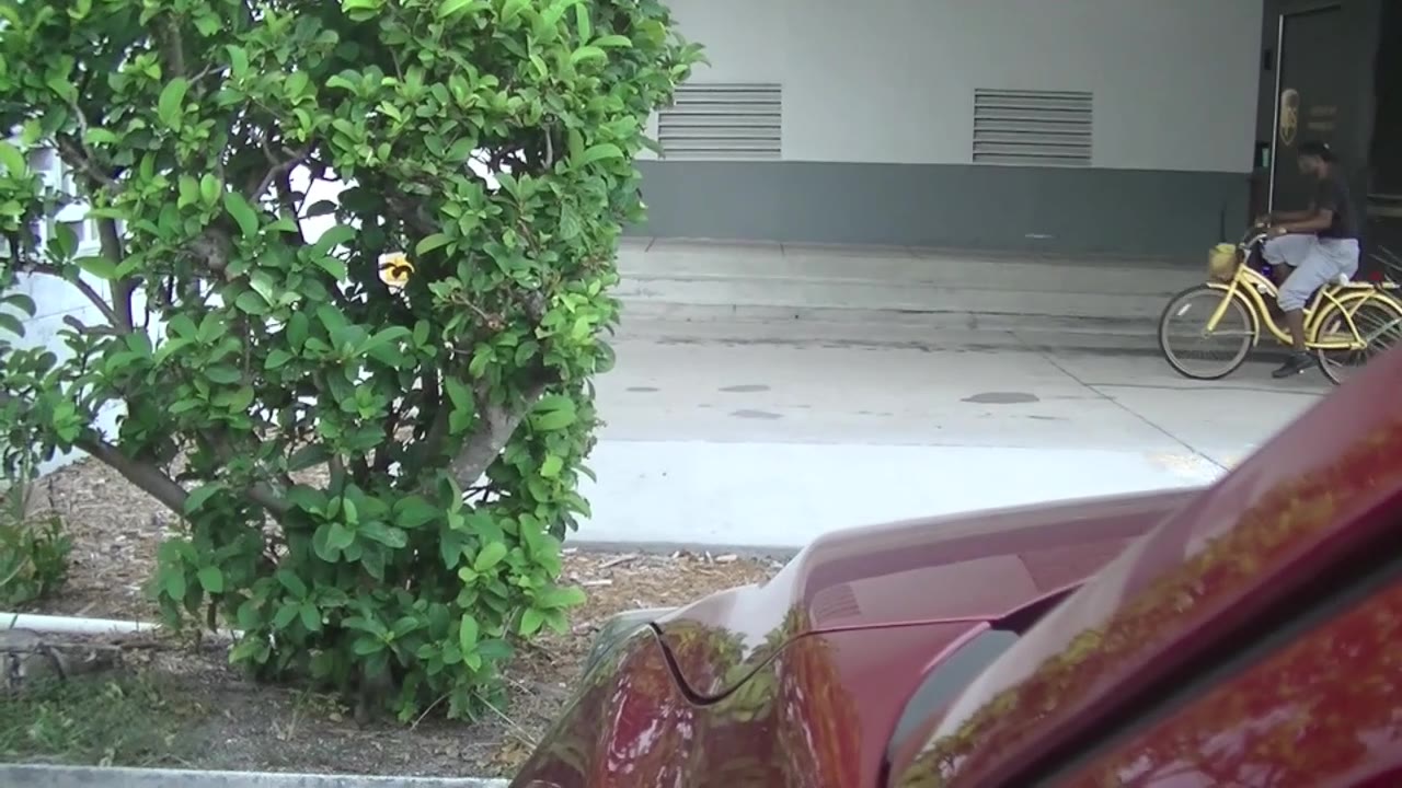 Hotwife Helena Price Sucks Her Cuckold Dry in the Car gallery image 3