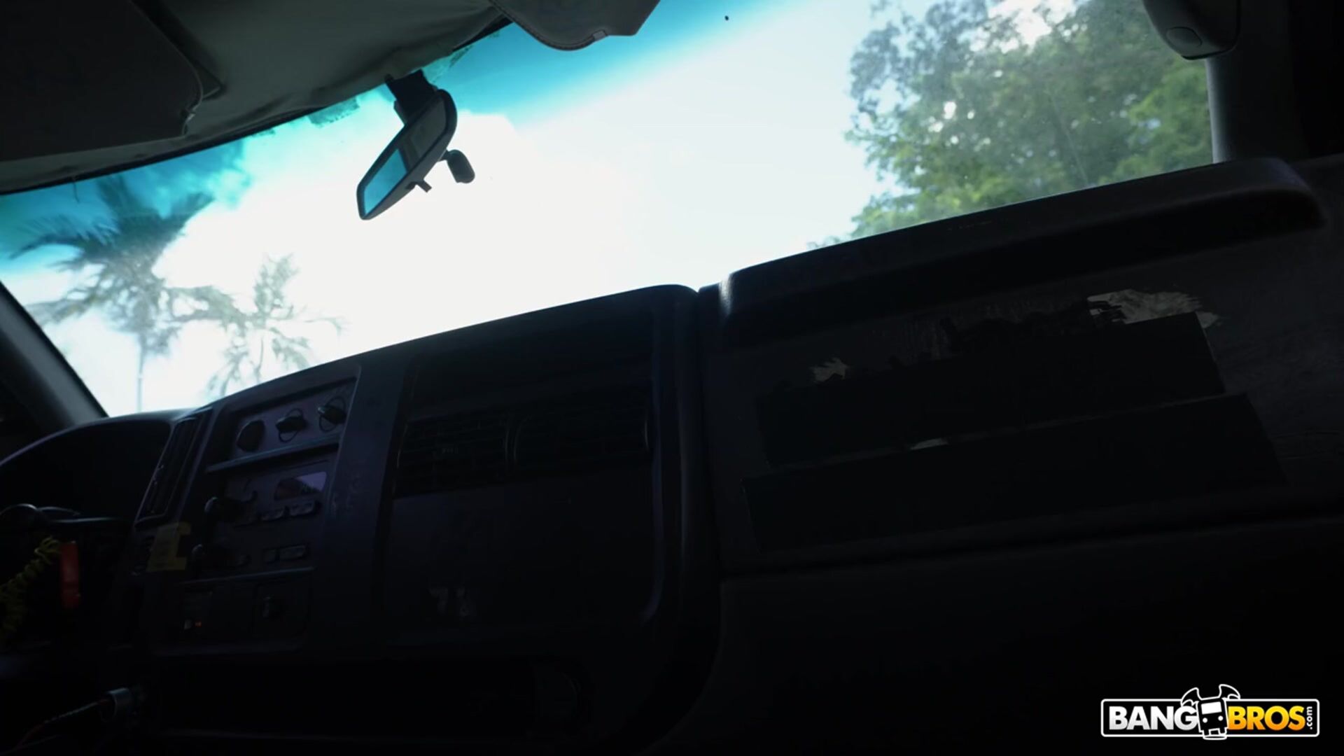 Lola Valentine Picked Up in Miami and Fucked in the Van gallery image 1